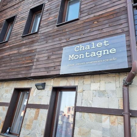 Chalet Montagne Bansko Apartment Buitenkant foto